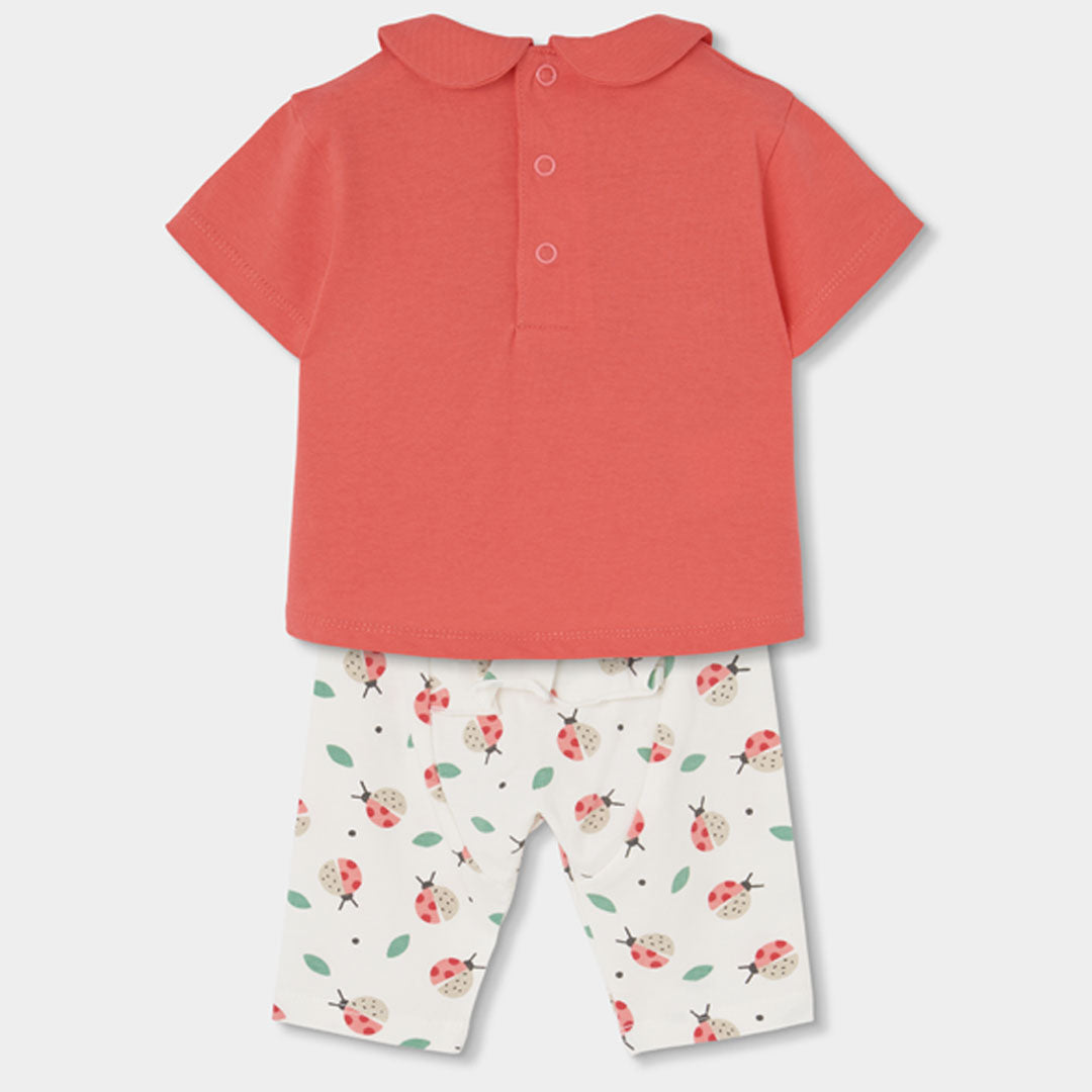 Set per Bimba Boboli
