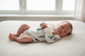 BODY INCROCIATO BOSCO MANICA LUNGA WOOLY ORGANIC