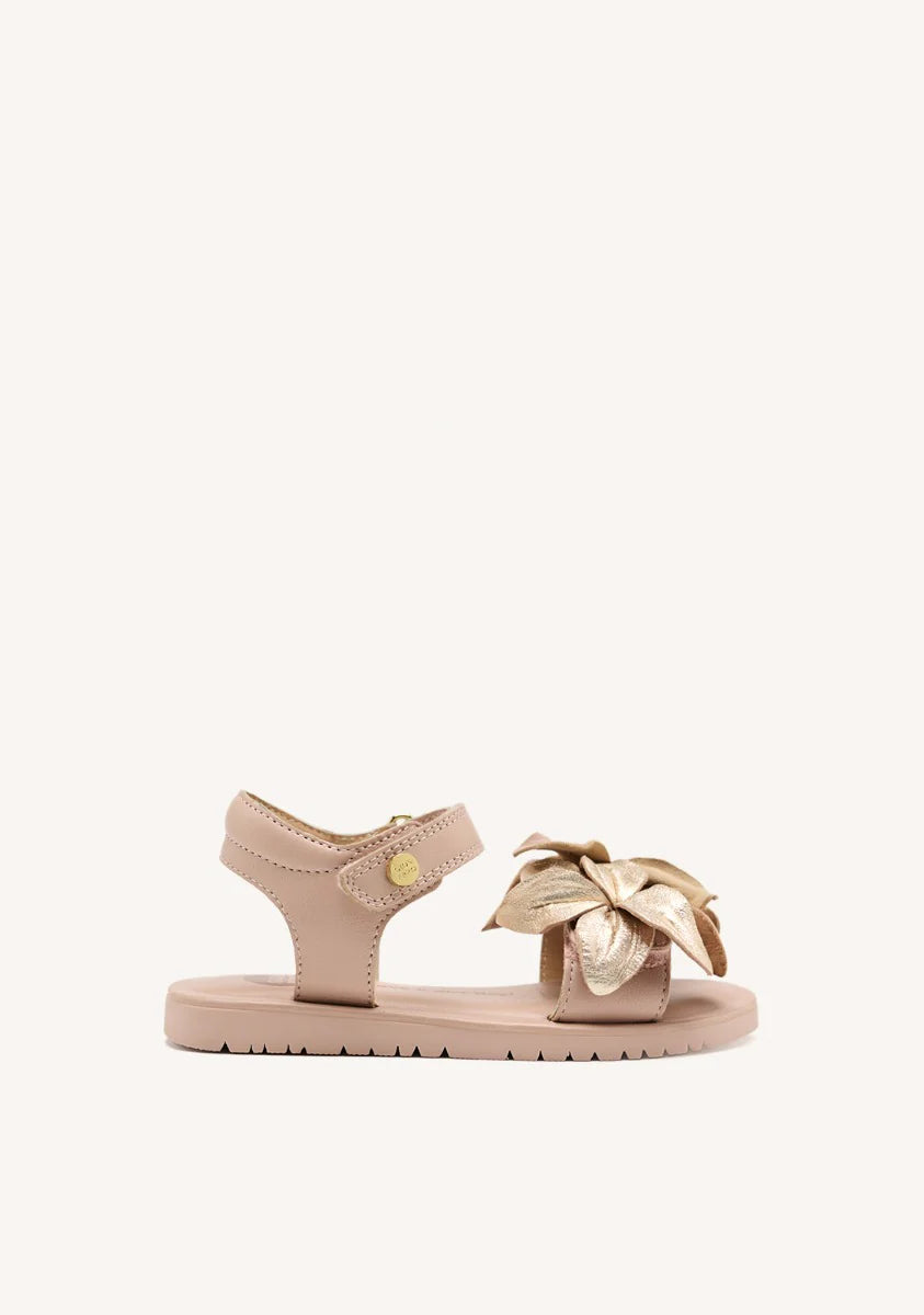 Scarpe Marinette Gioseppo - Bambina