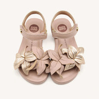 Scarpe Marinette Gioseppo - Bambina