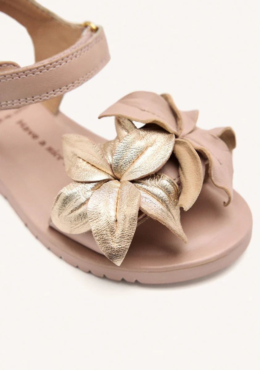 Scarpe Marinette Gioseppo - Bambina
